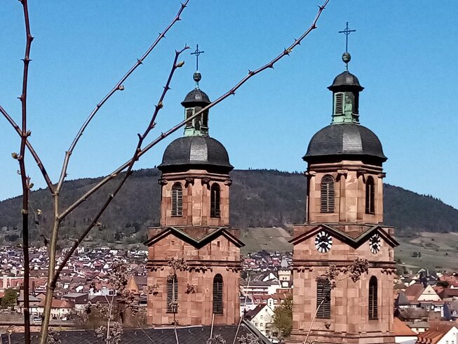 Foto_Miltenberg_neu